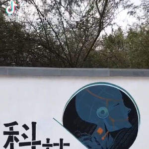 从化区明珠路文化墙彩绘视频_东莞市元美文化艺术有限公司